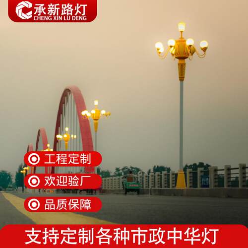 户外莲花造型玉兰灯 广场道路9米led中华灯八叉5火名族文化景观灯