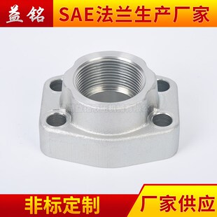SAE内螺纹法兰AFE/AFEA旋入式螺纹油泵液压阀 碳钢镀锌管螺纹接头