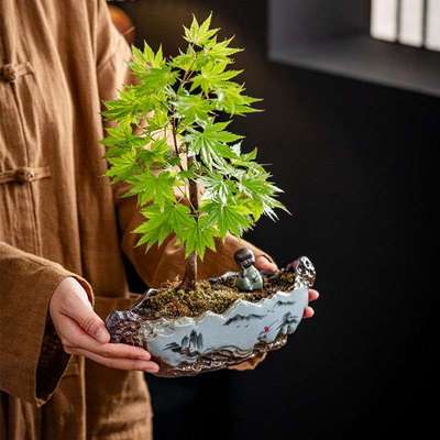 中国风个性仿石头盆景盆文竹米竹蝴蝶兰盆栽盆子多肉花盆陶瓷家用