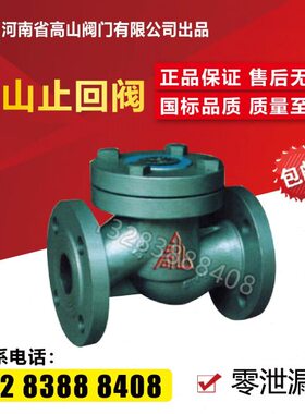 高密封法兰山253240软牌式升降密封止回阀D止回阀F-四氟2516NH4/1