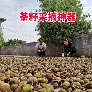 神器工具包高籽茶撸籽树效率树果实用采柏果收邮农用油茶摘采摘