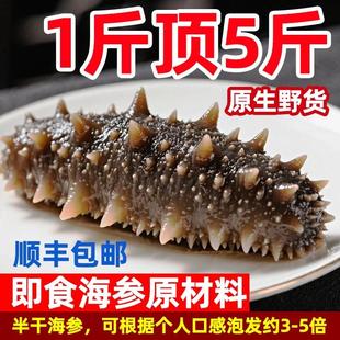 大连拉缸盐半干 干海参1斤鲜活即食干野货特价辽刺参袋装生水产冷