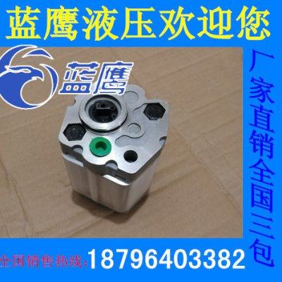 CBD-F10.16/F10.25L1B-BA齿轮泵CBU-F110油泵CBK-H226/H230双向泵