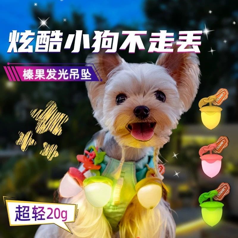 莱诺榛子灯夜间遛狗神器发光防走C失金毛泰迪中小型犬项圈灯可充