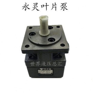 25油泵 6.3 31.5 YLC仙居永灵叶片泵YB1
