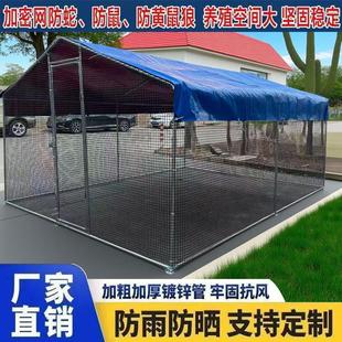 鸡笼鸡棚特大号户外家禽养殖棚养鸡笼子家用养鸡棚全套鸽子笼孔雀