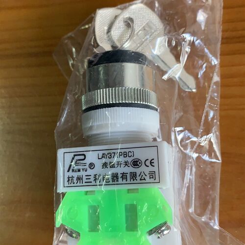 LAY37带锁开关