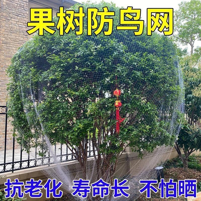 果树防鸟用的网农用防鸟丝网果园天网嘉宝果树防鸟罩子阳台防鸟网