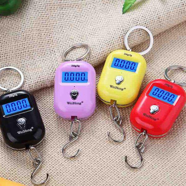 威衡小型手提电子秤便携式50斤高精度家用买菜秤快递称小秤弹簧秤