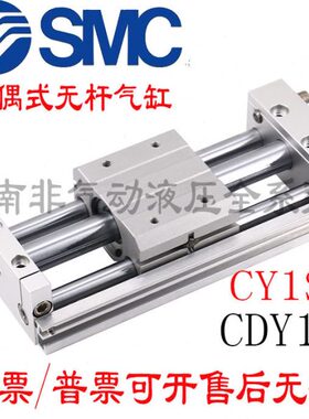 C 0 010040Y TS10MS61500/偶/式R20CD -无杆气缸//磁Y305060110/