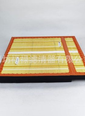 A0040946604空气滤芯0030949004 P781349 AF781349面板式通风滤芯