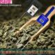11语音水分测定仪水分测量仪分茶叶 检测仪3KH水苏科慧搽叶