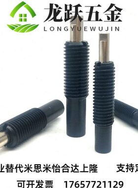 米带12PJ15 螺纹米弹簧柱塞/20-前端20 思HT型/ 重载P16/