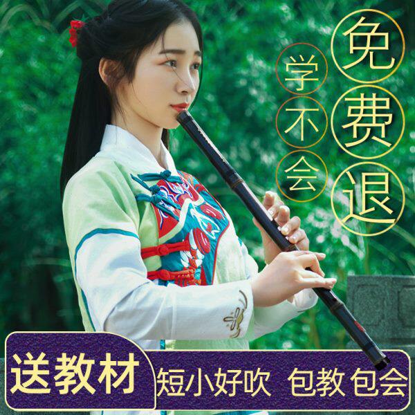 箫F乐器专业短级入门演奏初学精制萧随身潇箫萧洞箫紫竹笛G吹奏调
