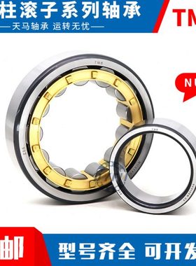 丹洋天马圆柱滚子轴承N NU NJ RN NUP NF409 410 411 412EMC3 4P5