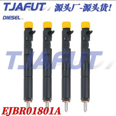 EJBR01801A喷油器总成 8200365186优质货源EJBR01801Z