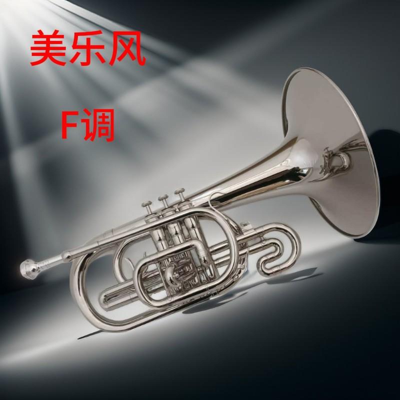宫泽风美乐风号乐器[行进美乐号] 行进铜管镀镍F调