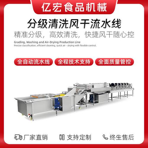 大枣椰枣橄榄分级清洗风干一体机 椰枣分级机 橄榄大枣多层烘干机