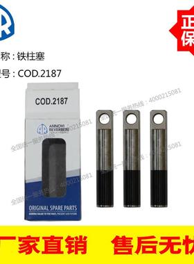 AR高压柱塞泵RSV3G30 RSV4G36 配件铁柱塞COD.2187