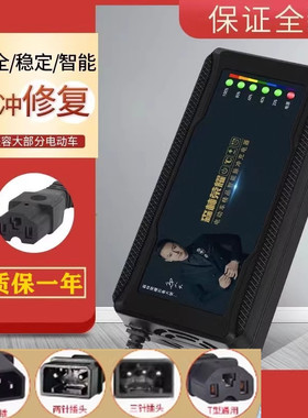 立马电动车充电器48V12AH60V20AH72V32AH两针S3针公插反接通用原
