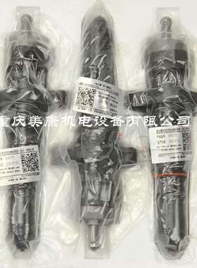 3095773 PT喷油器 K19-M 厂家零售 美康