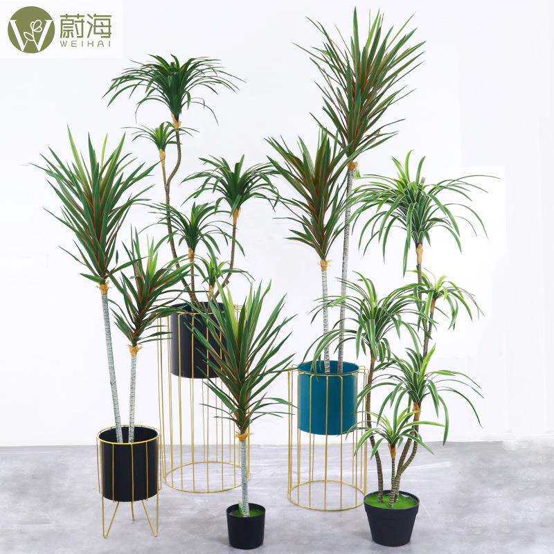 现货仿真植物巴西铁树白边龙血树北欧家居室内橱窗落地假绿植装饰