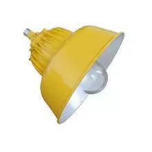 BPC8700防爆道路(平台)灯