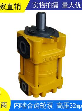 厂家销售折弯机剪板机油压机G20F 高压内齿泵液压齿轮泵 GEARPUMP