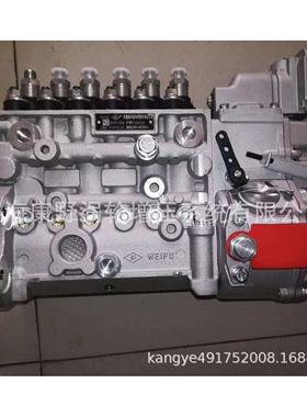 喷油泵4994276 6P715和3960899 0402736908A和0402736924 3975927