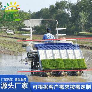水稻插秧机全自动栽苗机乘坐式种水稻机水田插插秧机源头厂家直供