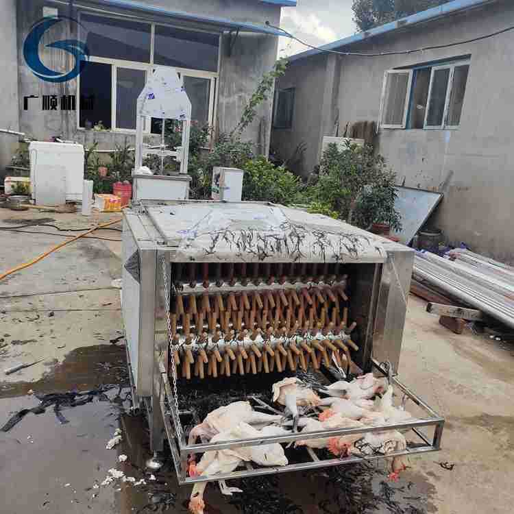 厂家供应商用家禽浸烫脱毛机 鸡鸭鹅宰杀脱毛设备 禽类去毛机