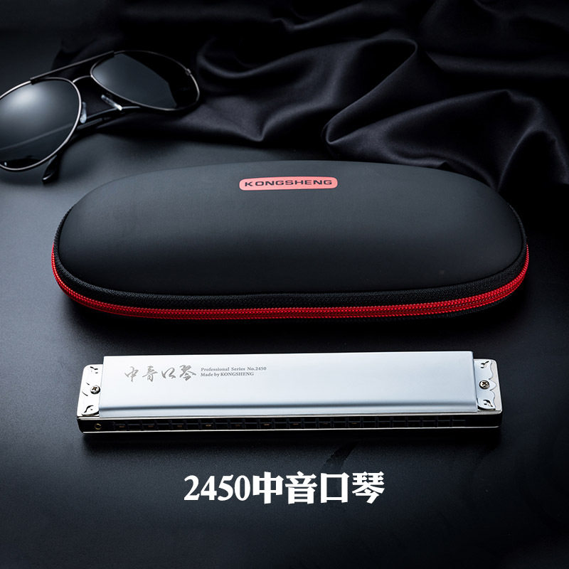 进口音簧24孔中音口琴C调成人乐队舞台演出演奏级高级乐器C调口琴