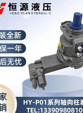 江苏恒源HY10/45/55/63/80/125/160/200/250P P01 P02 P03 P04-RP