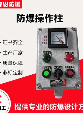 防爆操作控制箱防腐按钮箱两灯两钮一表防水防尘立式挂式IIB
