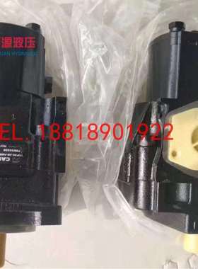 山河智能SWE90液压泵齿轮泵 先导泵 挖机尾泵K3SP36C原厂配件