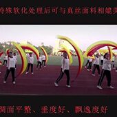 手持式 纱会球校运会初中生幕纱巾手拿彩运动绸开开 道具幕物入场式