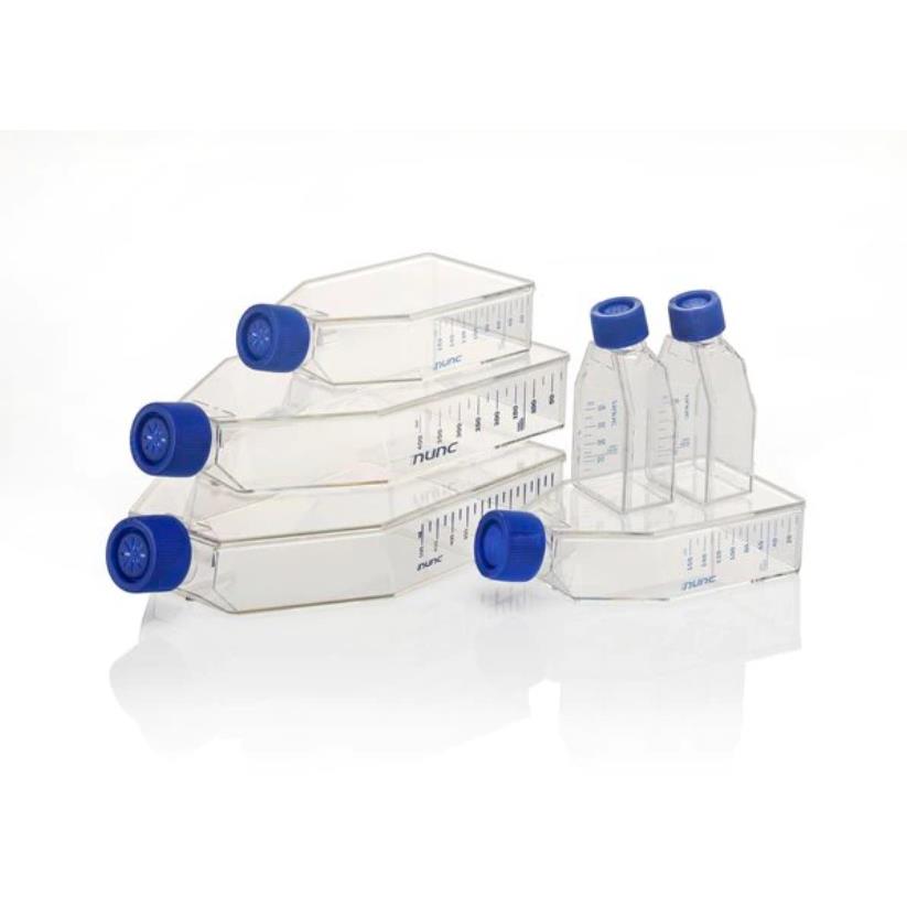 NUNC能肯159910 175cm2易用培养瓶 聚苯乙烯PS过滤透气盖 无菌