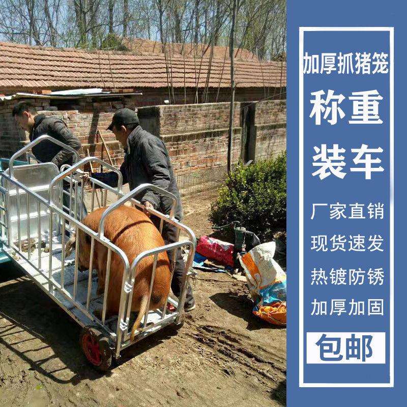 多功能笼子猪仔场用运猪笼装猪笼拉母猪称猪笼加厚多功能转猪家用