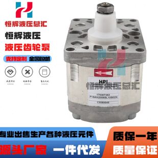 法国进口HPI齿轮泵P1BAN1004CL10B01N P1BN1005FL油泵 C5074932