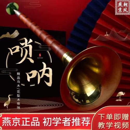 燕京唢呐花梨木全套降B初学者D调入门民间传统吹奏乐器大小号喇叭
