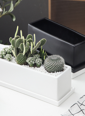北欧简约多肉植物长方形陶瓷花盆B带托盘黑白色室内外阳台桌面花