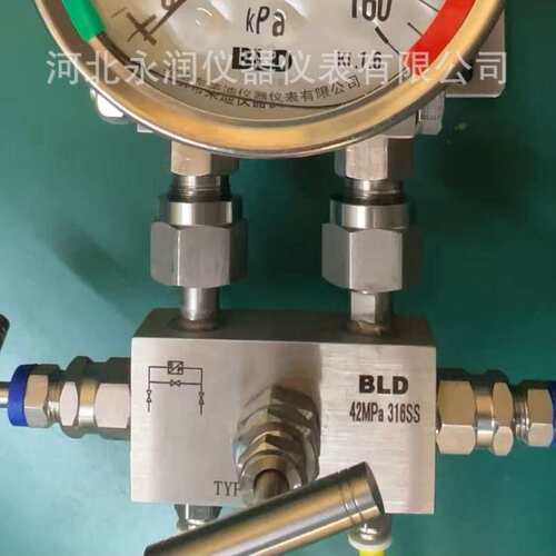 北京布莱迪 BLD 双膜片 高静压差压表   YCA-100.150.AO BLD