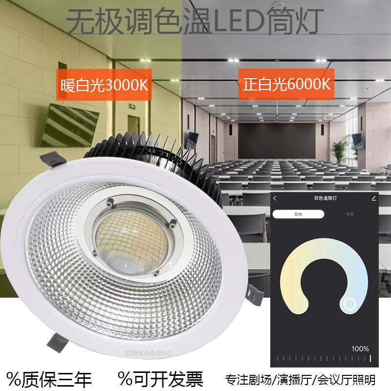 调光调色温led筒灯 30w50w60w80w变光双色DMX512筒灯礼堂照明射灯