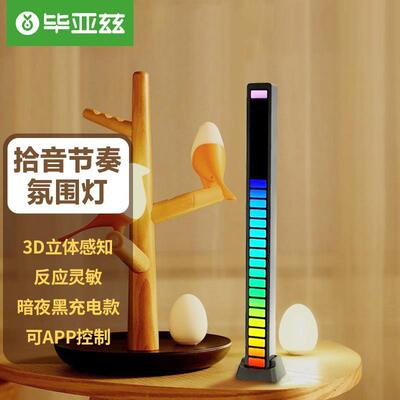 毕亚兹 拾音灯声控R灯汽车音乐律动灯光污染改装音频谱充电节奏灯