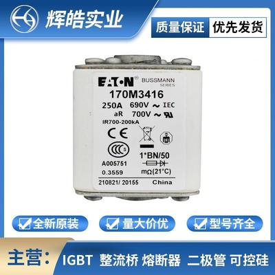 170M3416 170M3461 170M3465低压快速熔断器 熔断器配件 电子元件