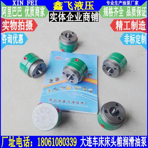 CDS6150B CDS6250C CDS6166B CDS6266C大连车床床头箱摆线油泵