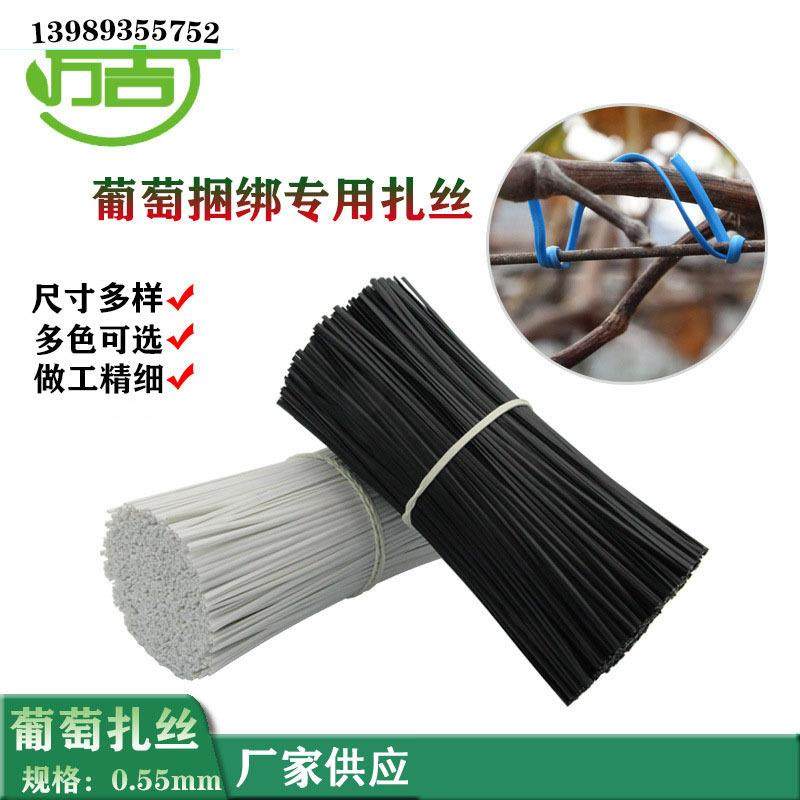 葡萄扎线 0.55圆扁一万条12cm白色扎带 绑丝猕猴桃绑枝园林扎丝,鲜花速递/花卉仿真/绿植园艺,割草机/草坪机,淘宝优惠券,粉丝福利购,淘宝优惠卷