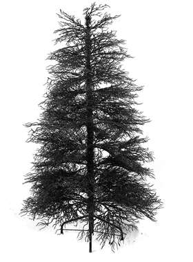 跨境万圣节热卖黑色万圣节树155cm商场橱窗家用装饰树摆件