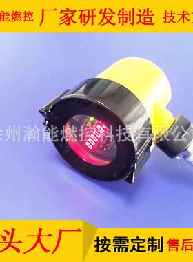 智能一体化红外线火焰检测器FL4000H-Ⅱ