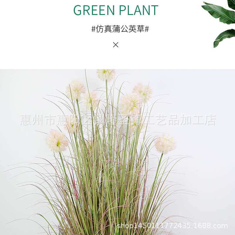 北欧风仿真芦苇装饰落地摄影假绿植洋葱草草堆布景蒲公英造景盆栽